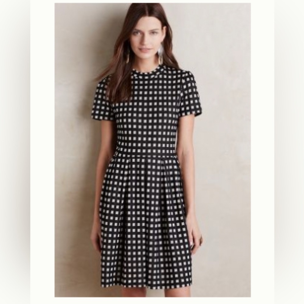 Anthropologie Hutch fit and flare pleated dress